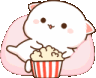 cat popcorn