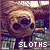 sloths