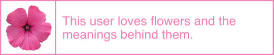 this user loves flowers and the meanings behind them