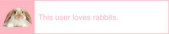 this user loves rabbits.